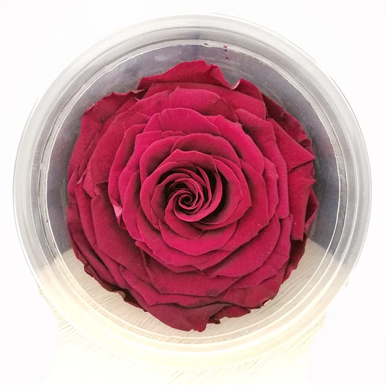 Best Price 9-10cm White Fresh Rose Head Eternal Flower In Box For Wedding Gifts For Guests