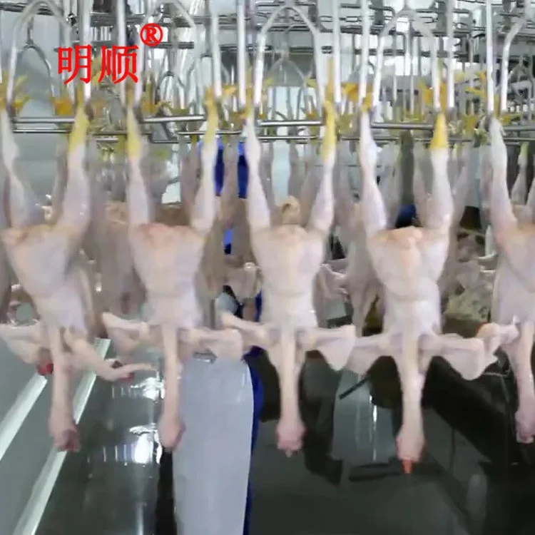 poultry slaughtering equipment for broiler / chicken / duck / goose / chicken slaughterhouse equipment