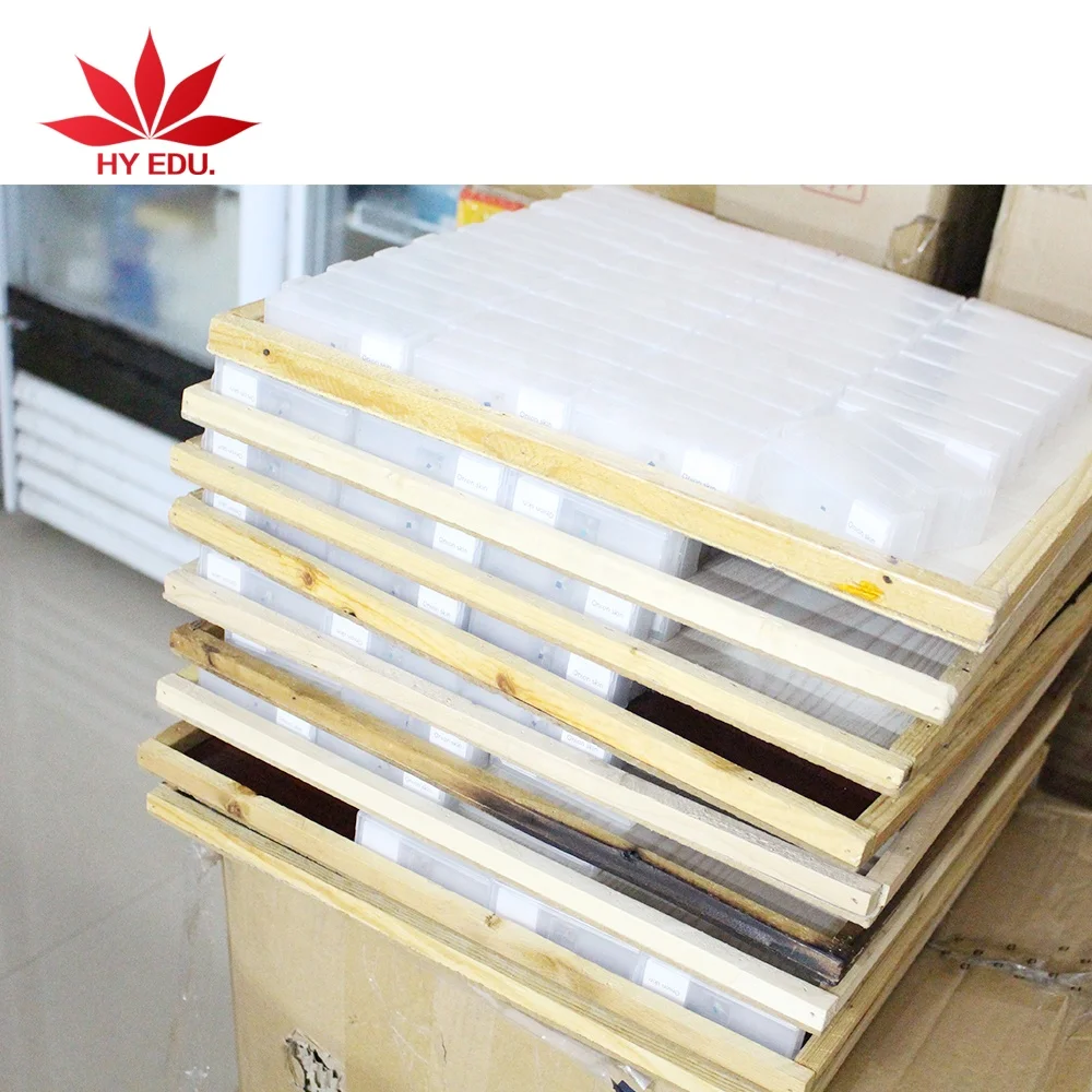 Hot selling child plastic teaching toys plastic prepared slides for microscope