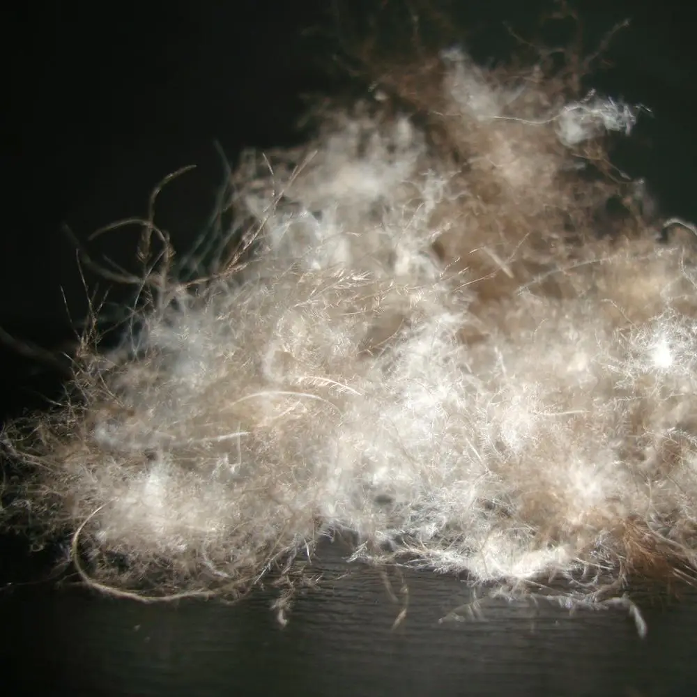 
Washed Grey Goose Down 95% Lion Head Goose 