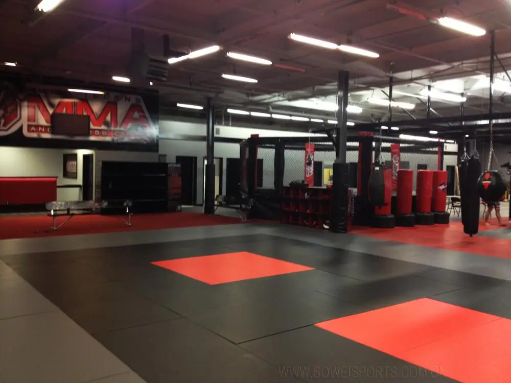 IJF Standard High Density Foam MMA Judo Mats