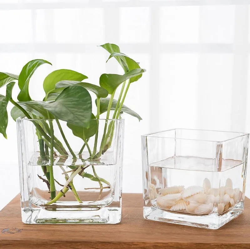 Mini Clear Cube Glass Terrarium Planter Succulent Plant Pot for Indoor Plant