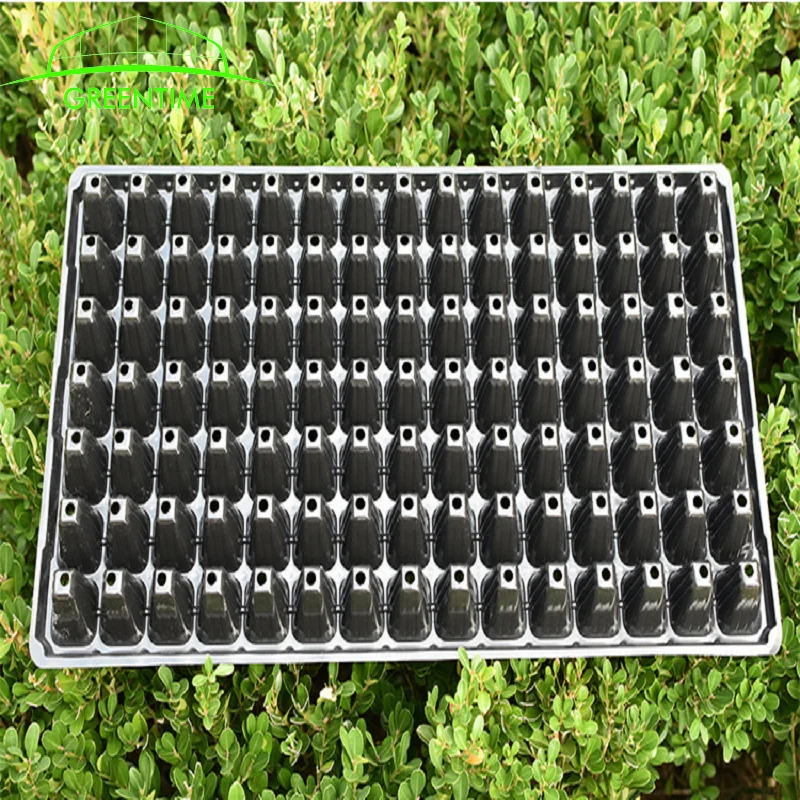 Hydroponic cell seed trays