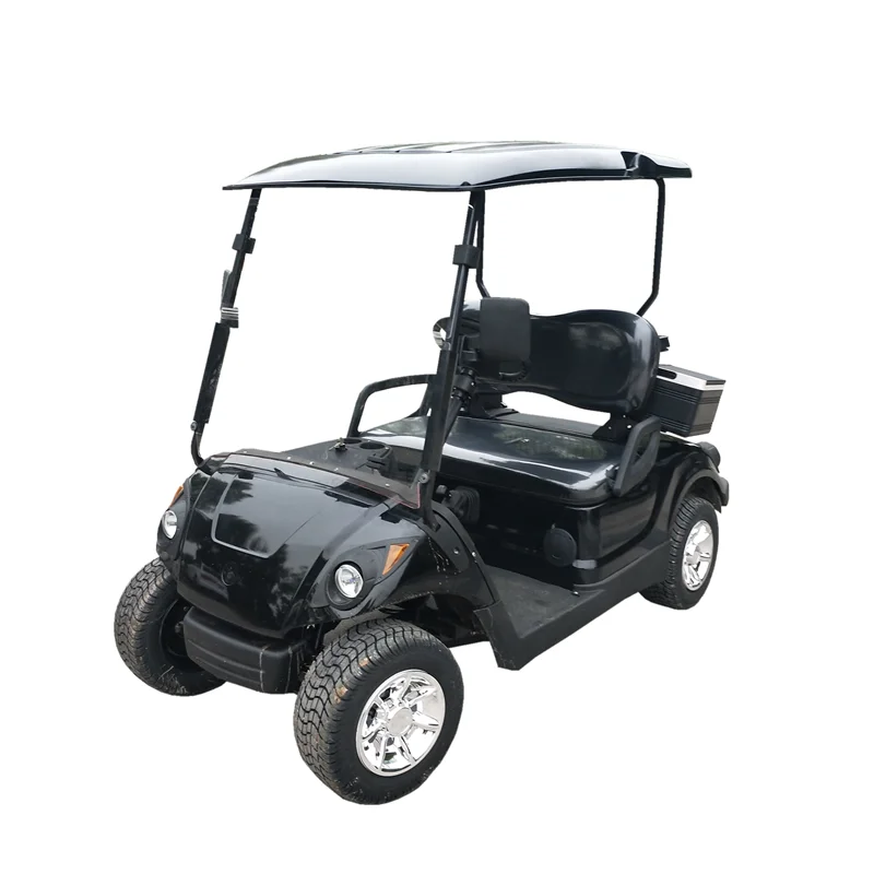 Сертифицированный Управлением по охране окружающей среды 2 сиденья 4 тактный 300CC бензиновый двигатель топливный гольф-кары