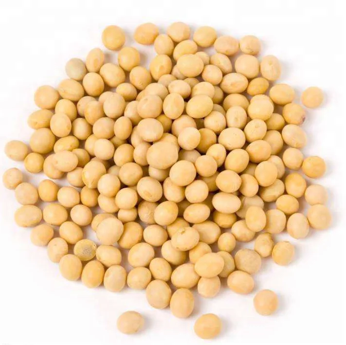 
Natural Soybean Extract Powder Soybean Peptide CAS 574-12-9 Soy Peptide Powder 