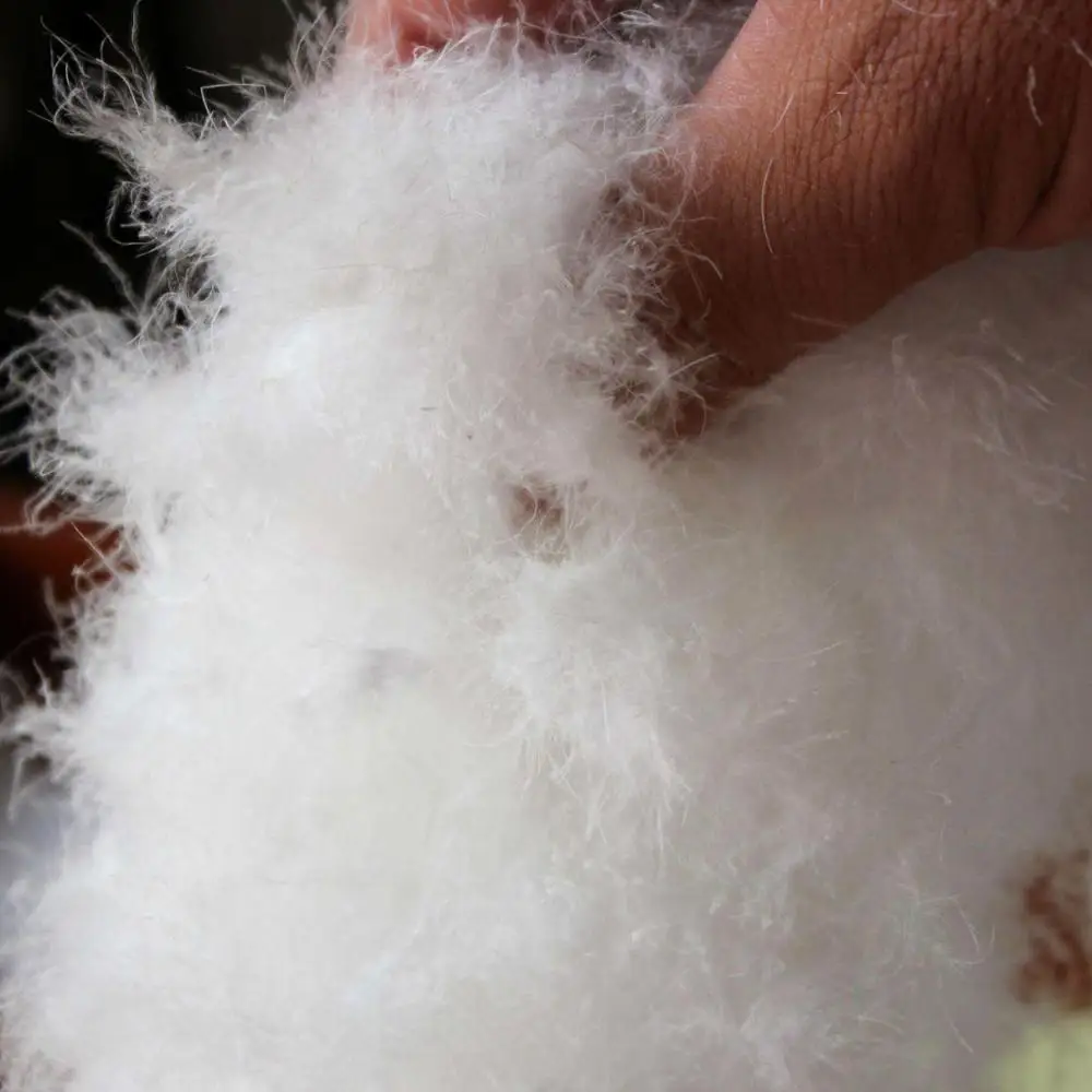 
Handmade Golden Sticky White Feather Duck Down 95% Duvet Filling Materials 