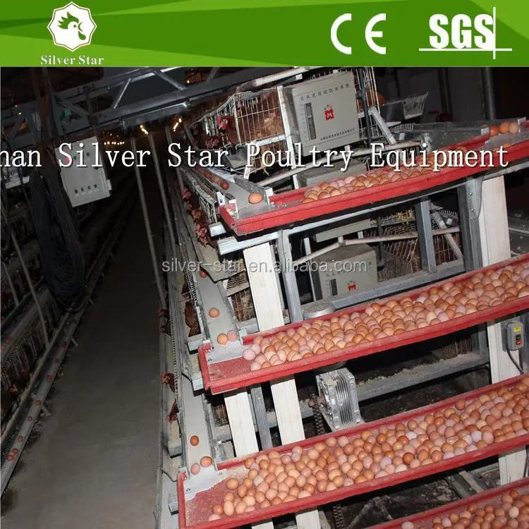 Wire mesh for chicken coop/China poultry coop