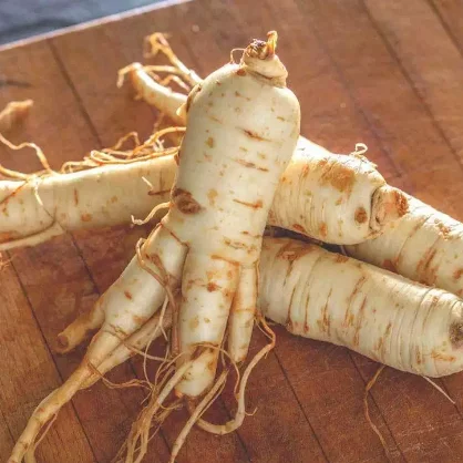 Boost the Immune System  Instant Ginseng tea in granules 18g*20 sachets/box packing