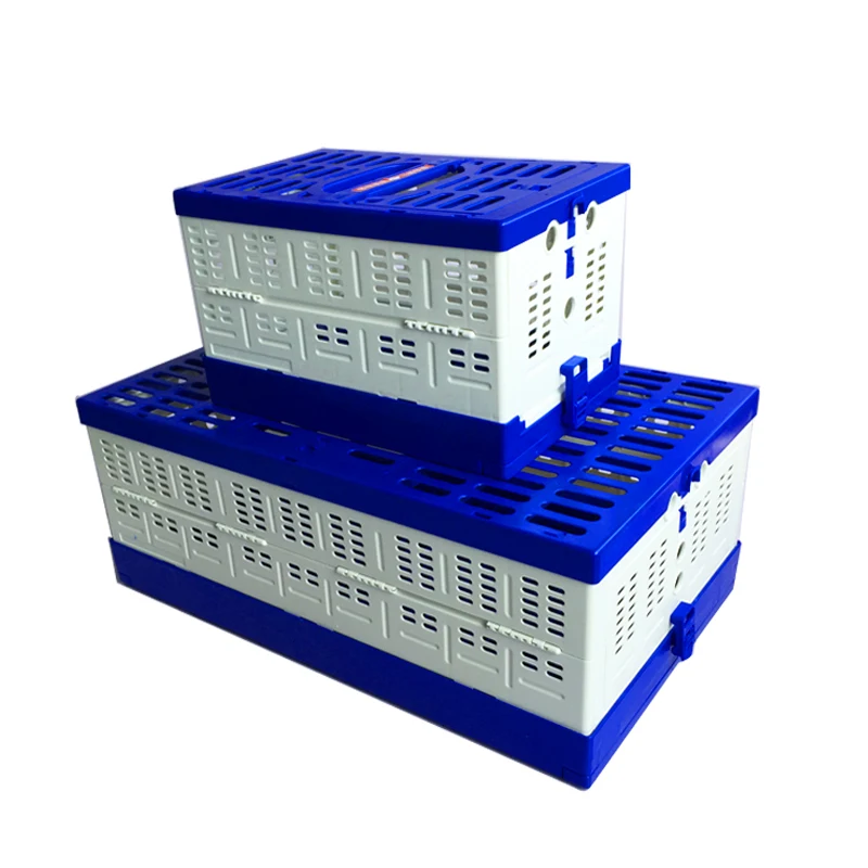 Racing Pigeon Transporter For Sale