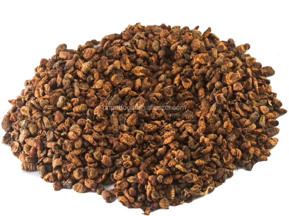 Dried Silkworms / Silkworm Pupae