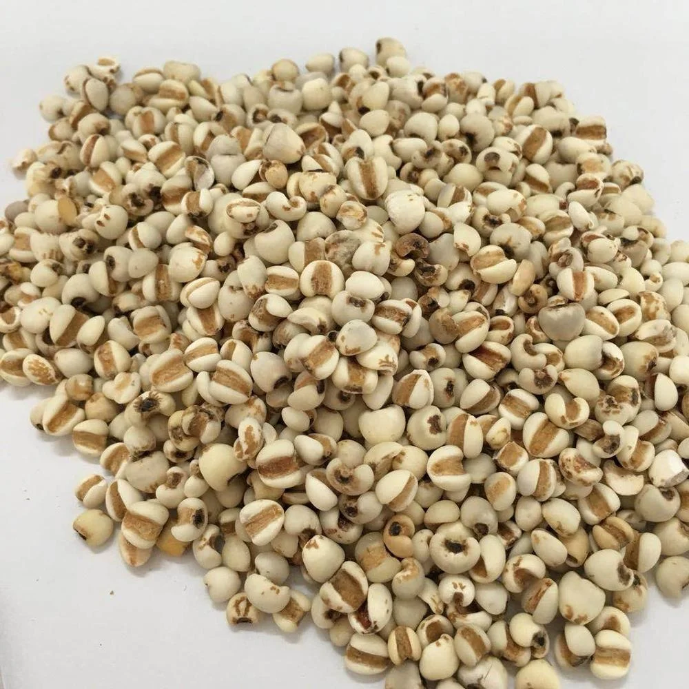 Китайский жемчужный ячмень высшего качества для