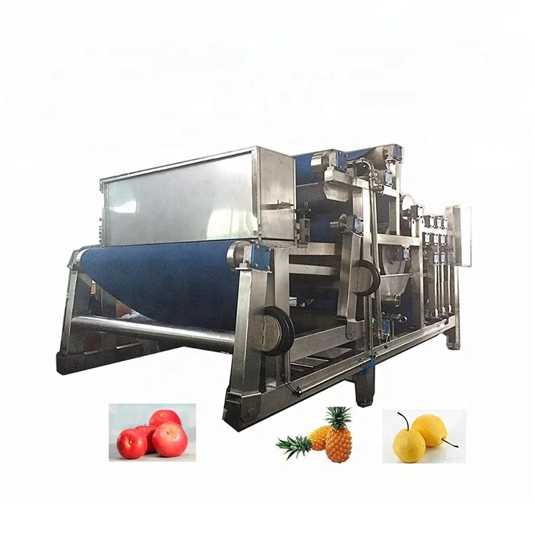 turnkey freezedrying dried fruit and vegetable slices production line project