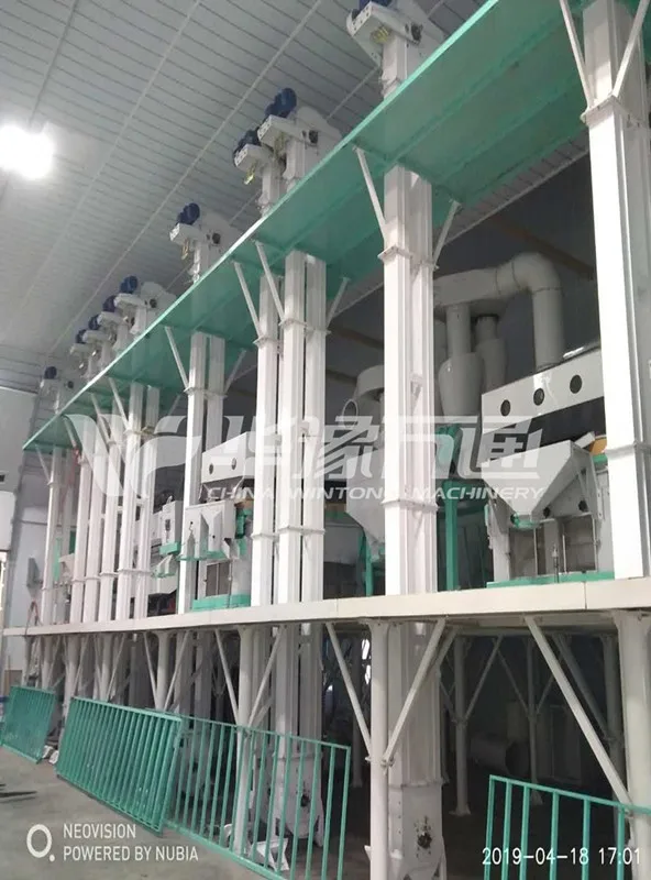 2019 Low Price 5T/H Pulses and Beans Cleaning Plant in USA