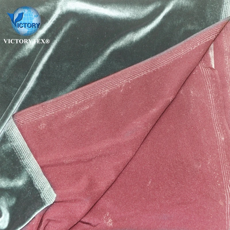 70 Polyester 22 Nylon Chinlon 8 Spandex Double Colors Knit Weave Warp Velour Stretch Elasstane Korea Velvet Fabric for Plants