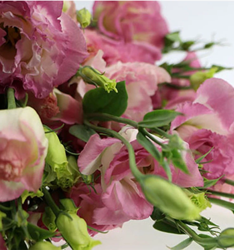 
wholesale fresh flowers flower delivery florist designed arrangements 