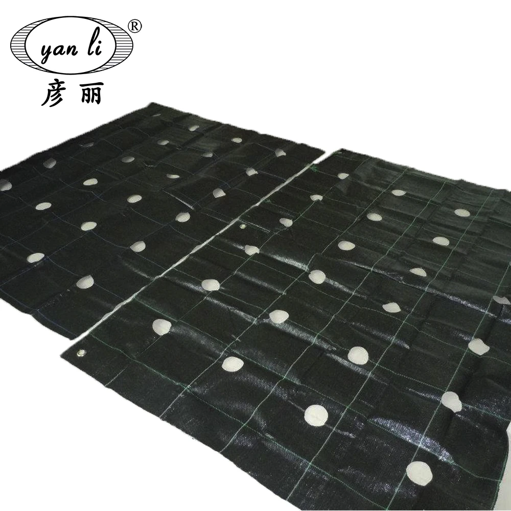 Agricultural Black Anti Grass Ground Cover Weed Net ground cover cloth