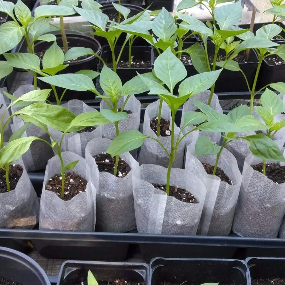 Wholesale plant nursery planting degradable non-woven long bag