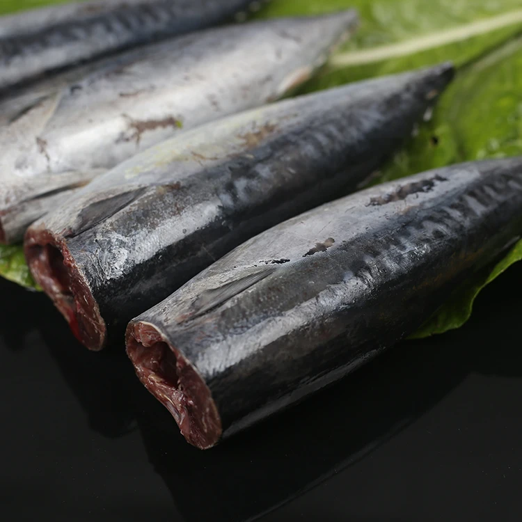 2019, замороженная Бонито, скидка на рыбу, продажа Бонито, Бонито, Рыба Бонито по цене, рыба тунца, цена в Индии