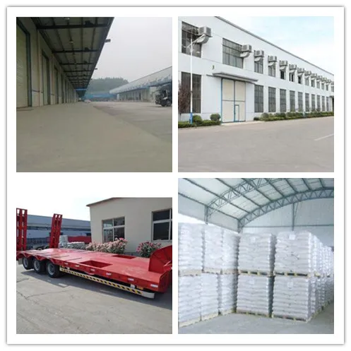 
Sodium percarbonate food additives cas 15630-89-4 