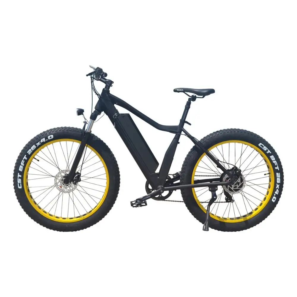 26' Fat tire e-bike 48v 500w 750W electricbike