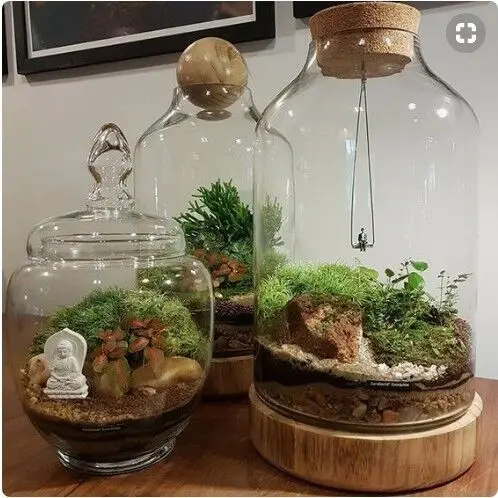 
High Quality Borosilicate Glass Bell Cloche and Glass Dome with Wooden Base flower vase glass 