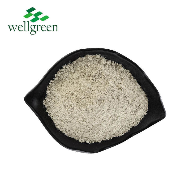 
China zeolite manufacturers sell Natural 325 mesh zeolite powder with best price 
