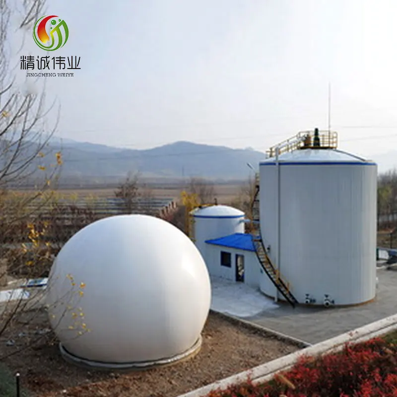 100-10000 cubic meter biogas plant project for industry purpose