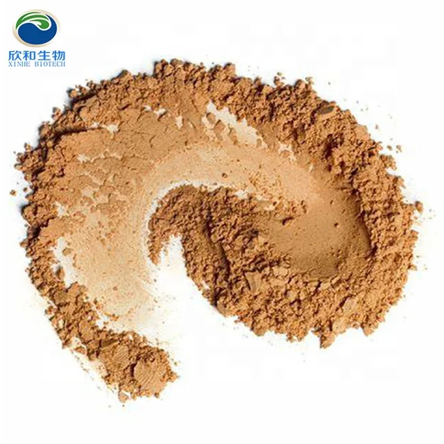 
Schizochytrium Powder with Algae Powder for Fish and Shrimp 