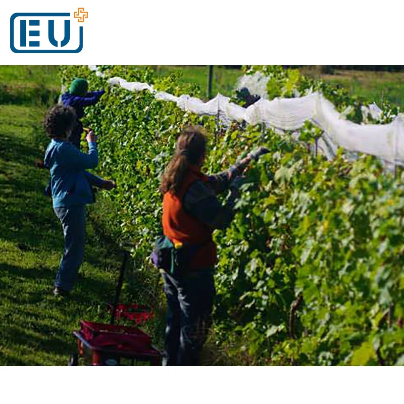 Сильный, но легкий тканые сад птица сетки/животного ловли