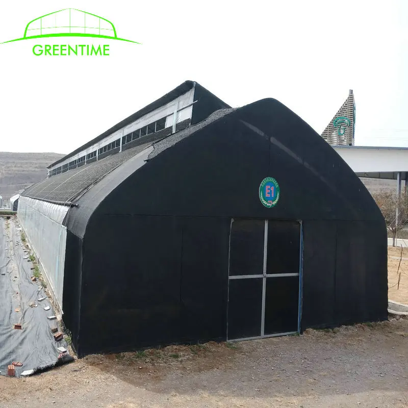 Commercial plastic greenhouse mushroom farm plastic greenhouse of agriculture equipment