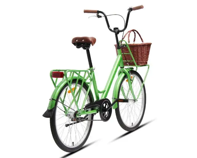 Cheap Price Steel Bicycle Family City Bike Cargo Bike