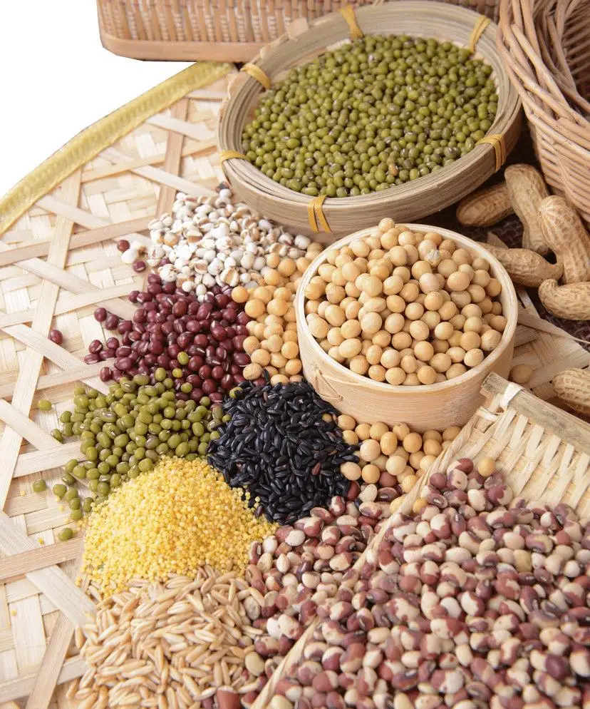 
Guangzhou supplier Industrial drying machine food meat grains dryer dehydrator 