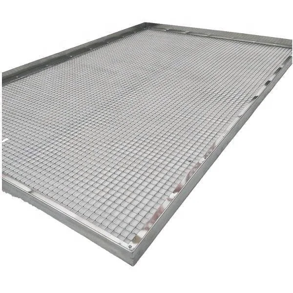 Customized 304 Stainless steel wire mesh tray for drying the fruit