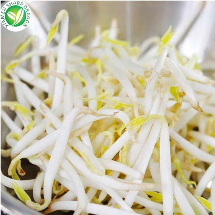 FDA сертификация Быстрый повар замороженные желтый/мунг ростки фасоли