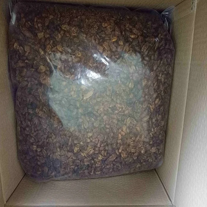 Dried Silkworm Pupae Silkworm for Animal Feed