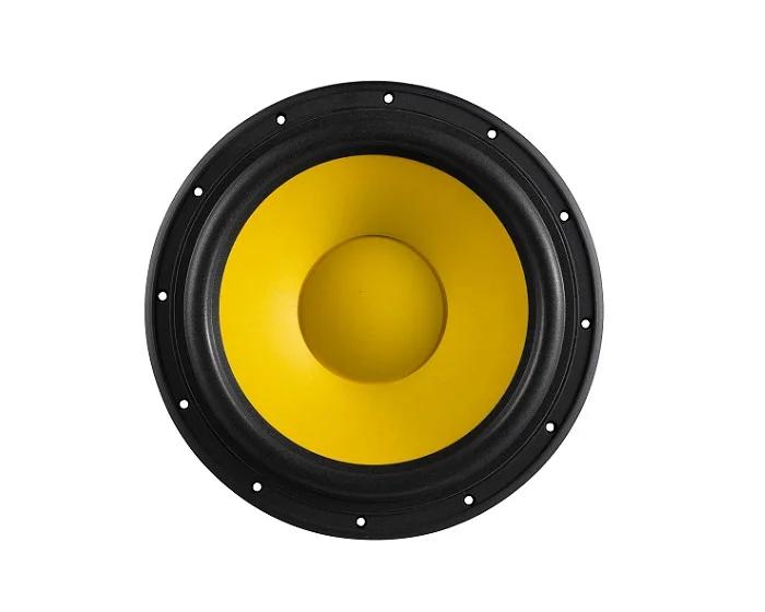 HiVi Hi-Fi 300W woofer speaker 10 inch Woofer unit suitable for DIY speaker Build D10G