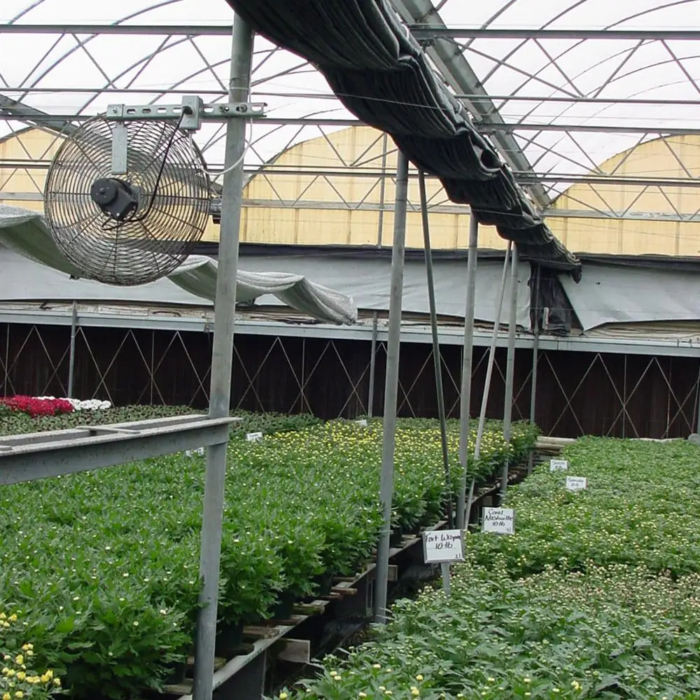 Economical Poly tunnel Plastic Film Agricultural Greenhouse Morocco for Vegetable Planting