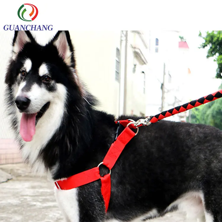 Бесплатная образец собака аксессуары pet ремень безопасности пользовательские собака поводки с ошейниками