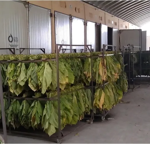  Шалфей Тимьян орегано мята ваниль Конопля Moringa Bay листья цветок специи травы сушильная