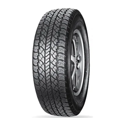pcr tire snow tire winter tire 205/55r16 dk668
