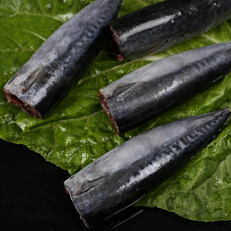 2019, замороженная Бонито, скидка на рыбу, продажа Бонито, Бонито, Рыба Бонито по цене, рыба тунца, цена в Индии