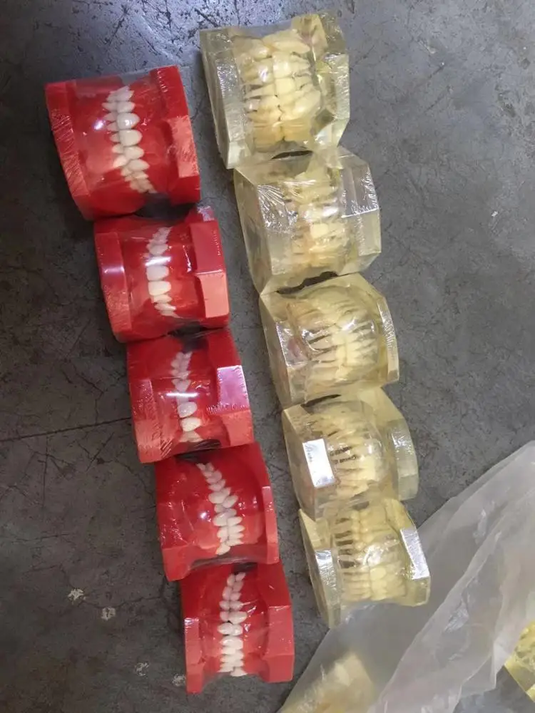 Different malocclusion and occlusion classification dental model 10 kinds orthodontic practice model