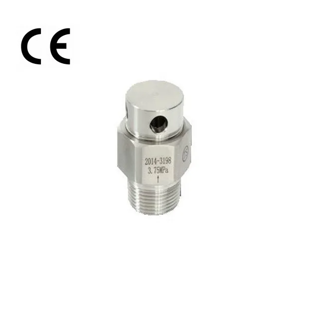 SS316 Nonmetallic type Blasting Bursting Discs Rupture disc Rupture disk for medicine food gas industry