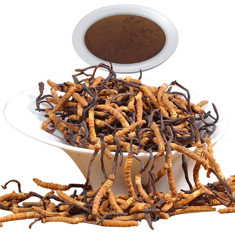 
ISO certification reduce blood cholesterol Polysaccharides powder Cordyceps sinensis extract 