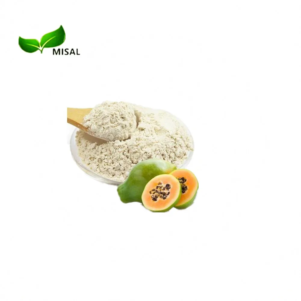High quality bulk pure papaya extract / papain enzyme / papaya fruit extract