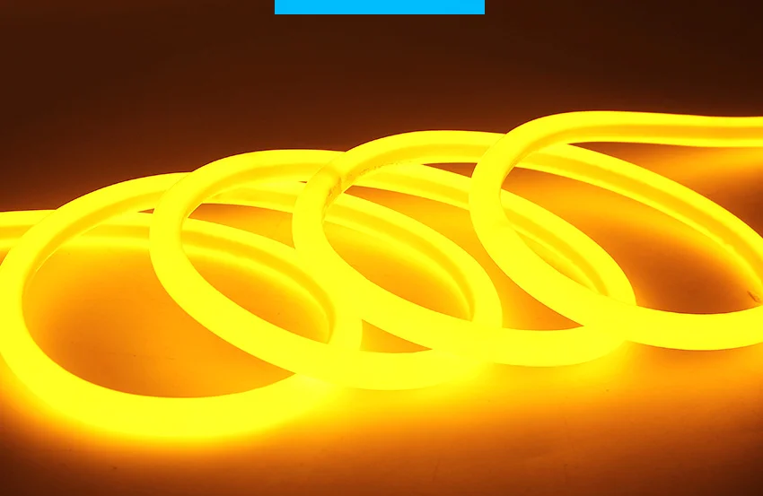 2835-120D-12V-2.5 cm one cut No wire single-sided luminous flexible light strip Neon light