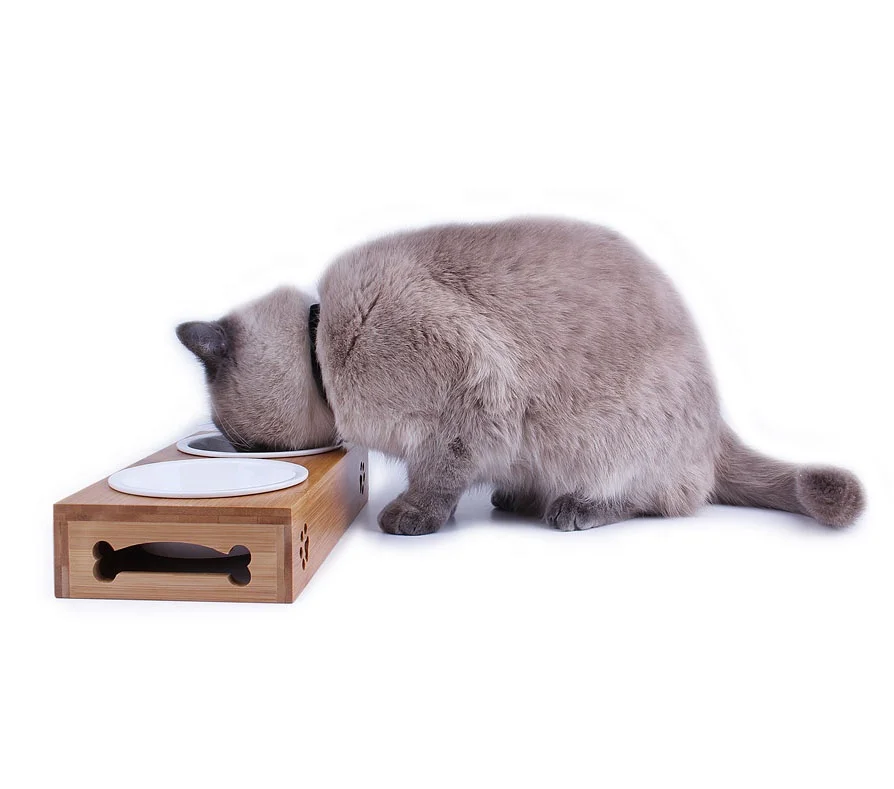 Stainless Steel Dog Bowls with Stand Elevated Cat Food Bowls Elevated Dog Bowl Holder