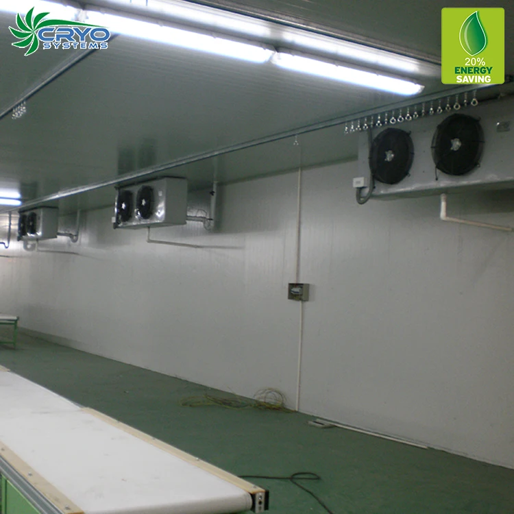 куриные инженеры сервер oversea город холодного хранения очистки прогулка в кулер стены для замороженных угря рыбы