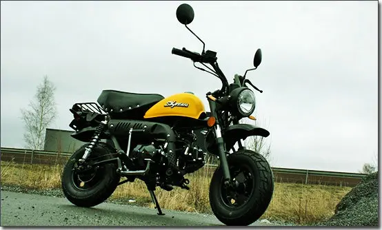 SKYTEAM E5 125cc 4 stroke Skymini monkey motorcycle monkey bike (EEC EUROV EURO5 APPROVED)