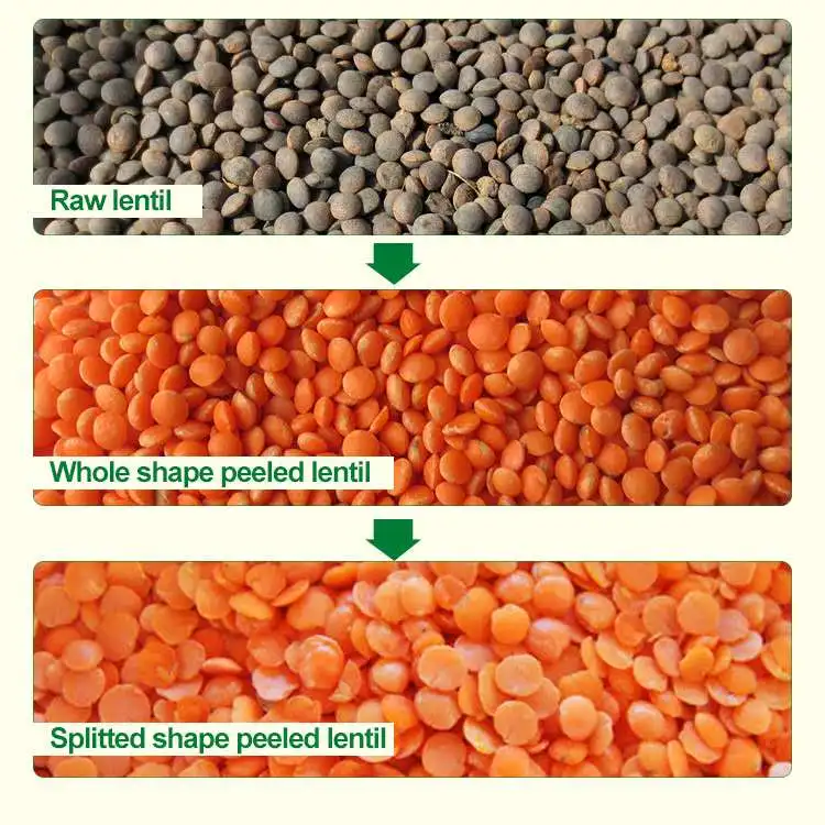lentil peeling machine 200kg/h dry lentils dehuller  lentil peeler spanish lentil husking machine masoor/channa lentil plant